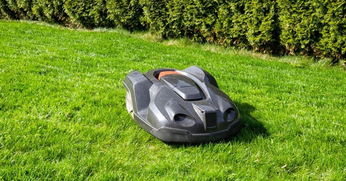 Robotplæneklipper i haven